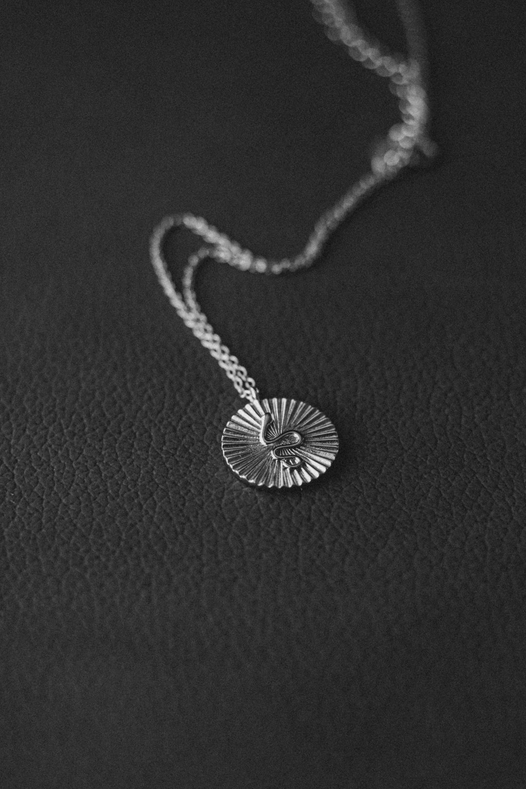 Snake Charm Necklace