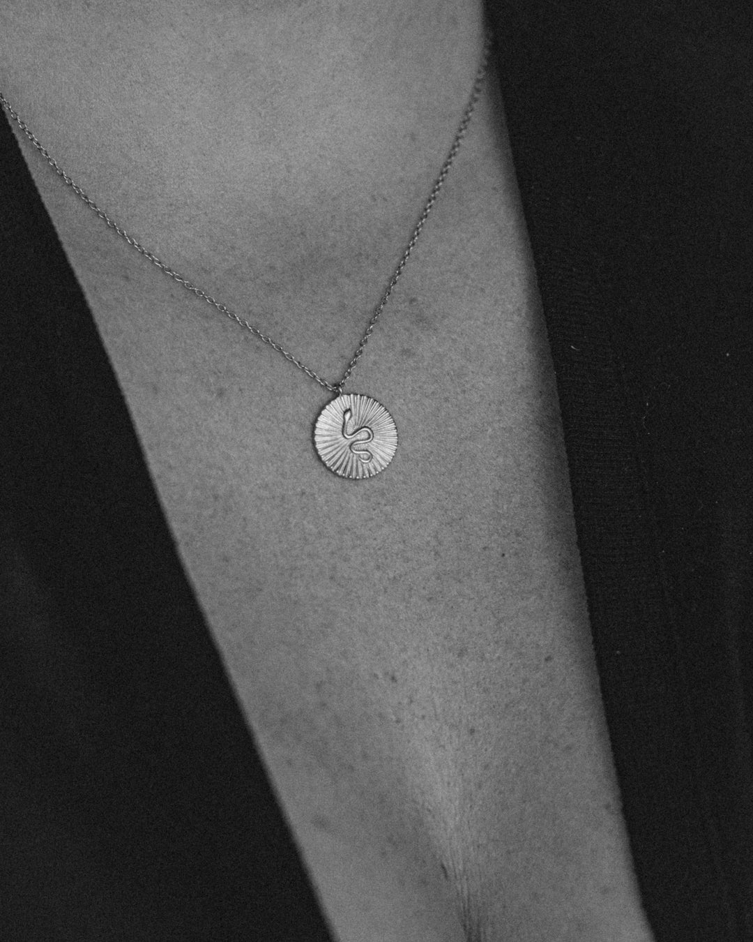 Snake Charm Necklace