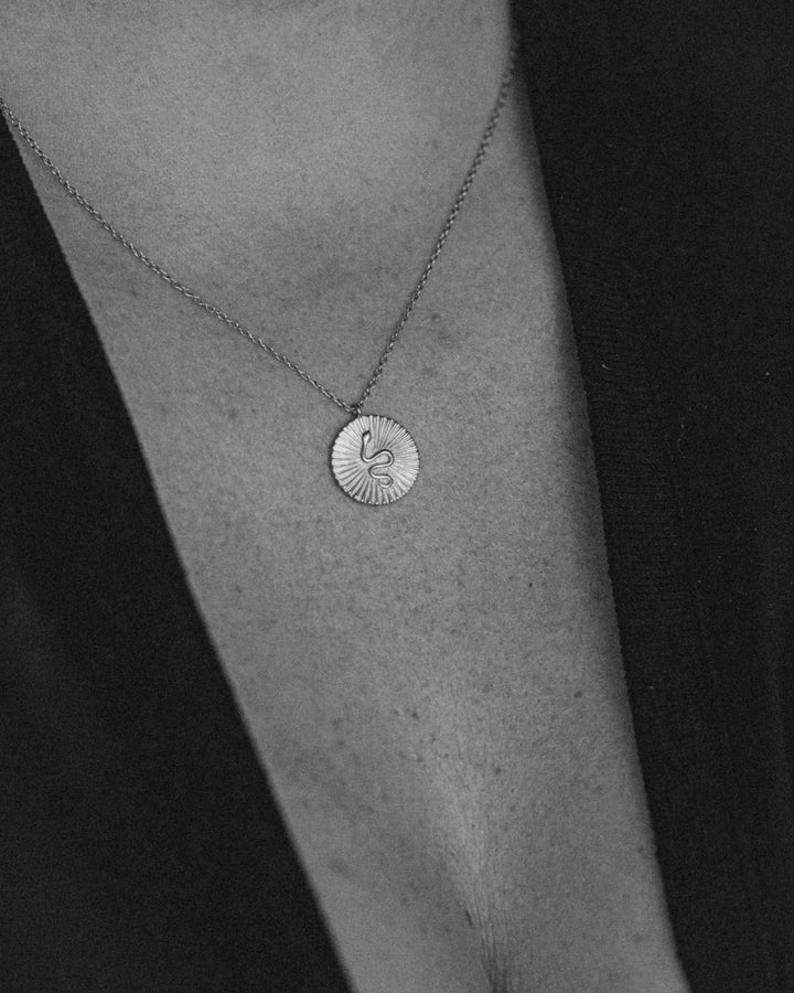 Snake Charm Necklace